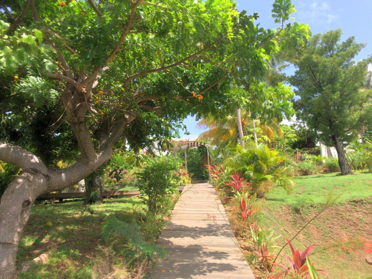 Residence Paradis Tropical Basse-Terre Exteriér fotografie