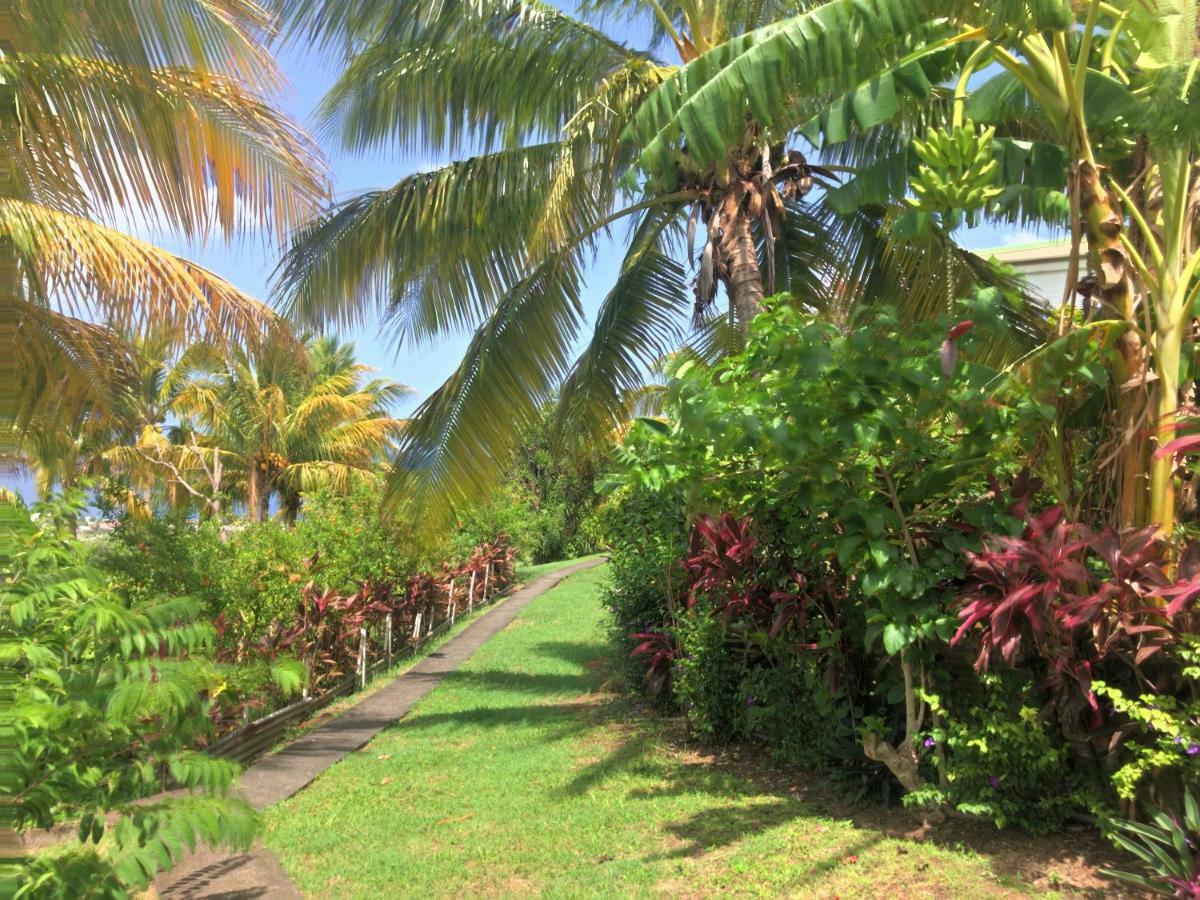 Residence Paradis Tropical Basse-Terre Exteriér fotografie