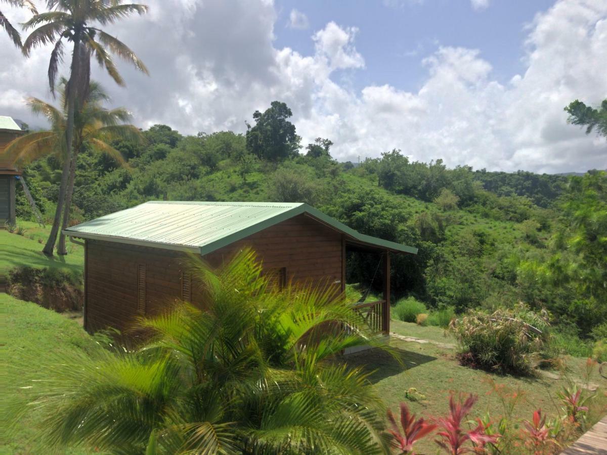 Residence Paradis Tropical Basse-Terre Exteriér fotografie